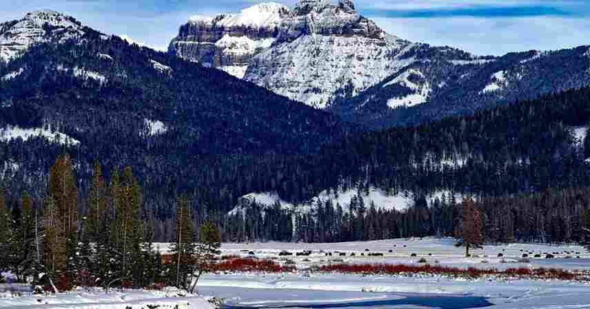 Salt Lake City to Yellowstone National Park