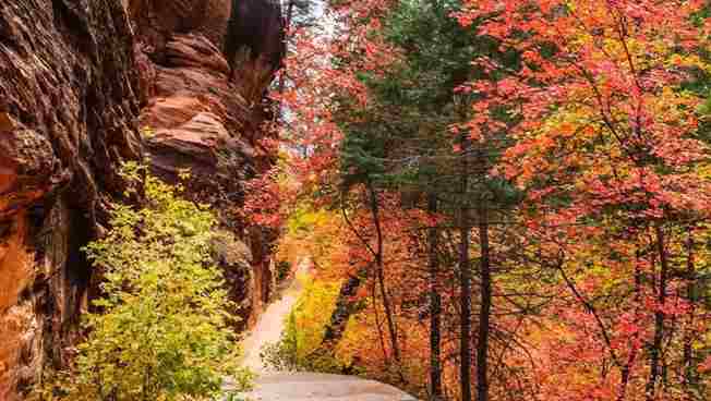 Zion National Park