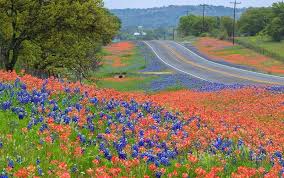 Drive across Texas